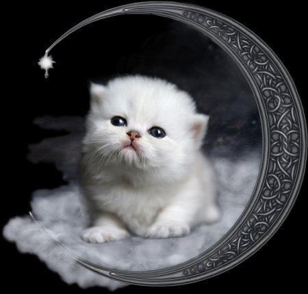 hou!! hou!! l� l�. Comme Mamiemyope, il a des soucis...